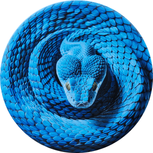 Custom Snake Illusion Disc