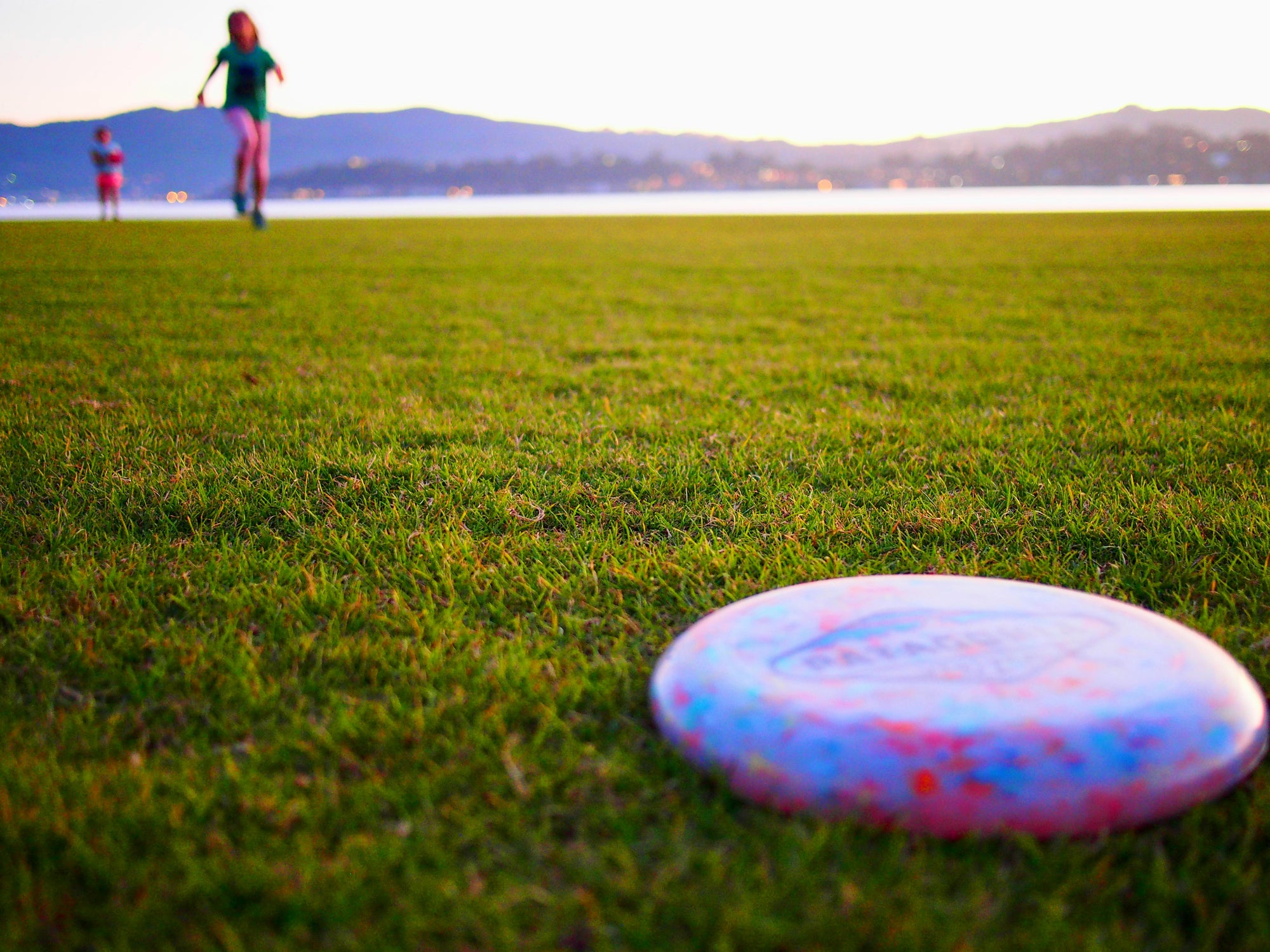 How to Choose the Perfect Disc Golf Disc: A Guide for Every Skill Level