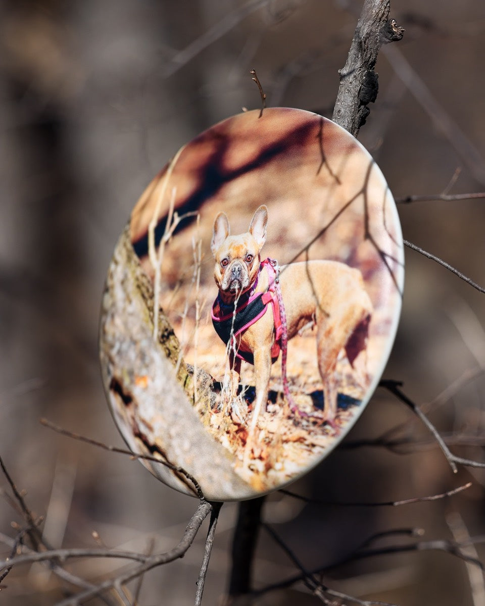 How to Put Your Photo on a Disc Golf Disc