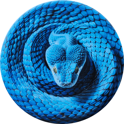 Custom Blue Snake Illusion Disc