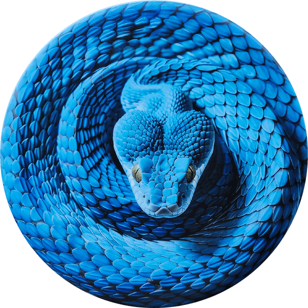 Blue Snake Illusion Disc Golf Disc - 3D Optical Art