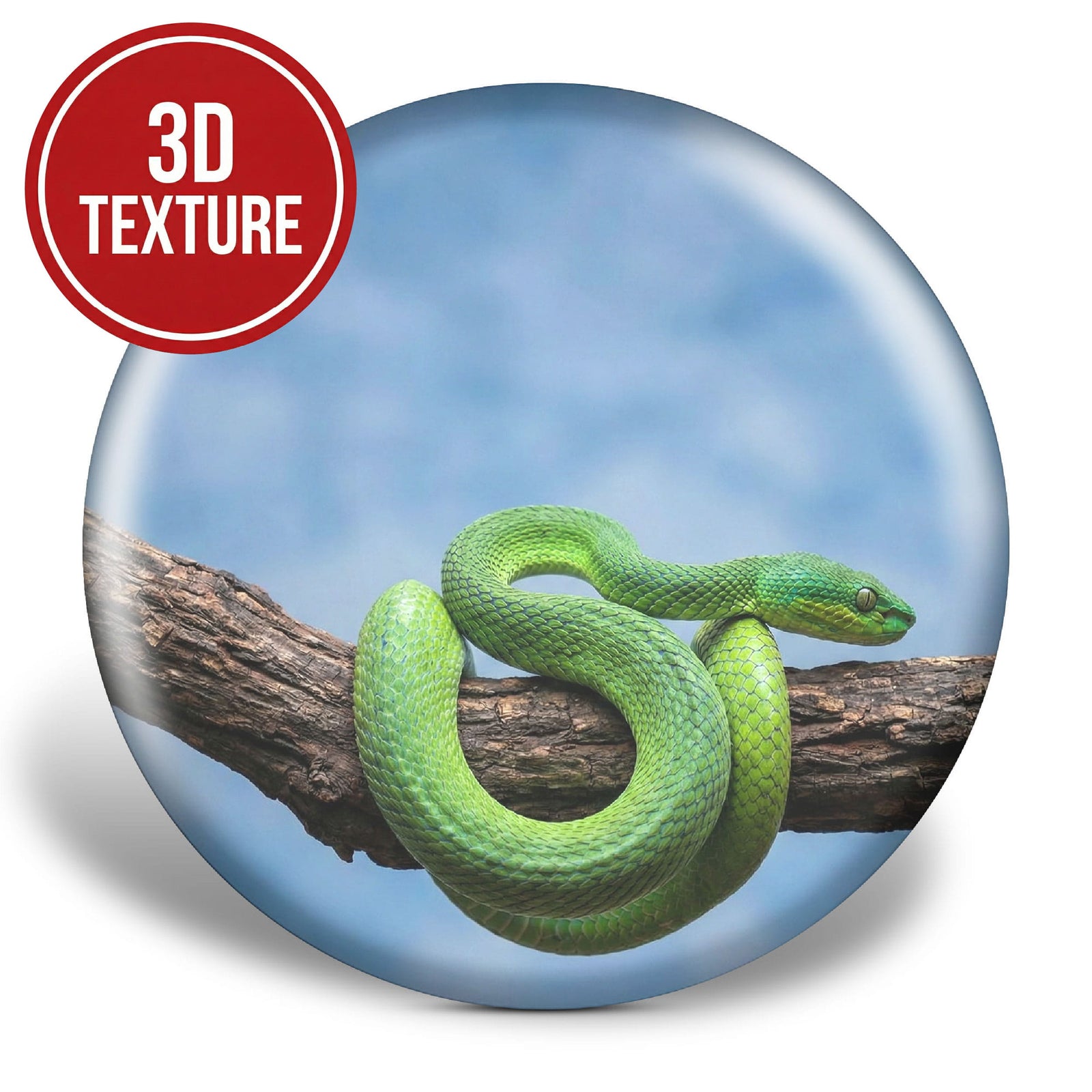 Green snake on a branch with 3D texture label disc golf disc
