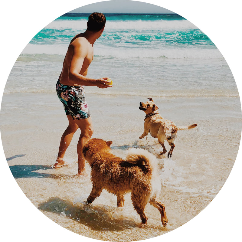 Special Order: Custom Disc (Any Brand / Any Mold)