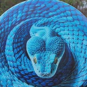 Custom Snake Illusion Disc
