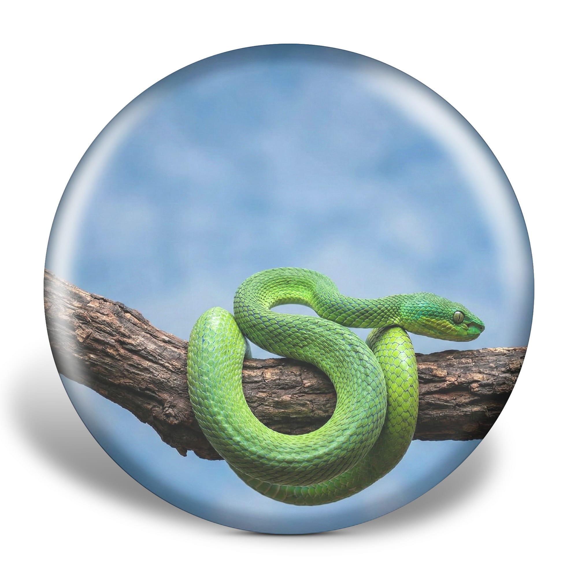 snake 3d texture disc golf disc
