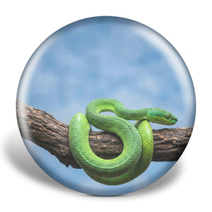 snake 3d texture disc golf disc