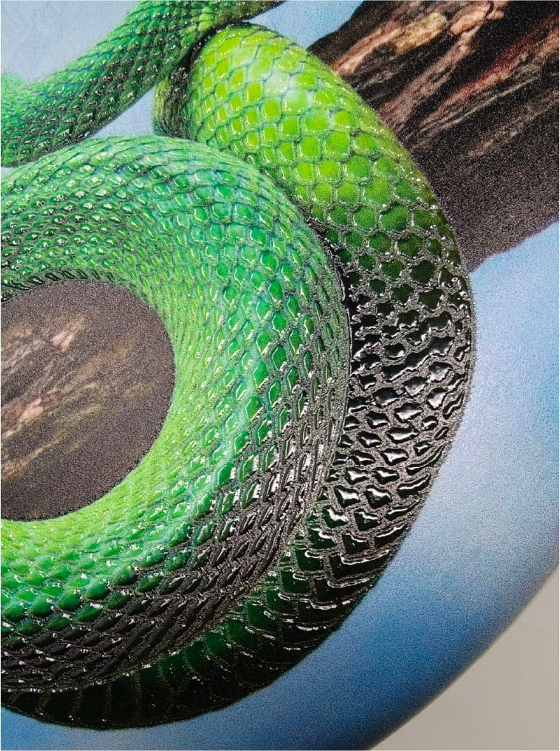 snake 3d texture disc golf disc